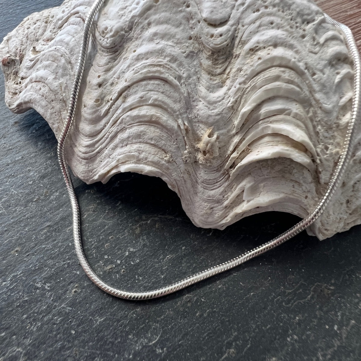 Snake Chain Sterling Silver Anklet