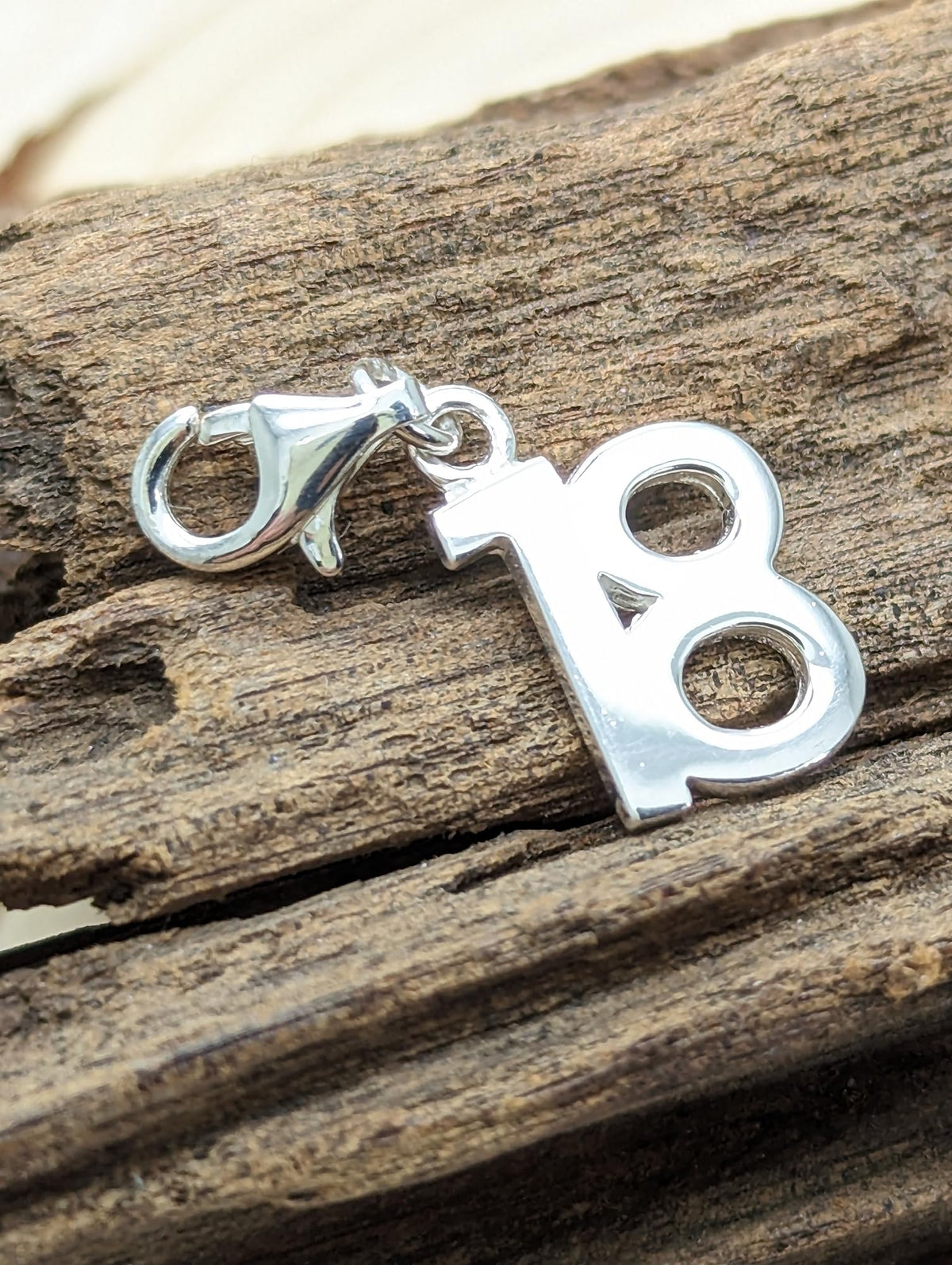 Plain Polished Clip On Charms Collection - Sterling Silver Clip On Charm Pendant with Lobs 