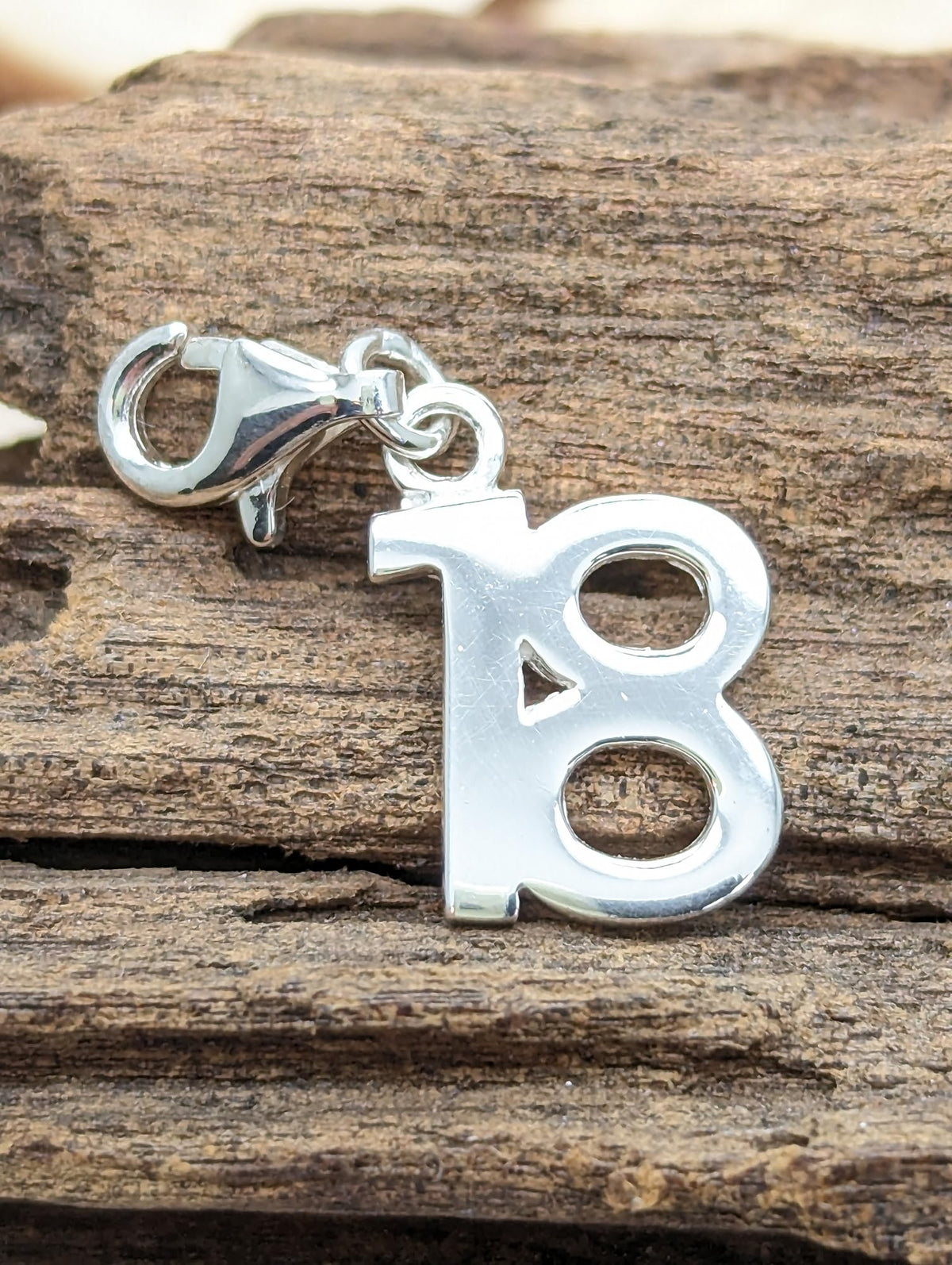 Plain Polished Clip On Charms Collection - Sterling Silver Clip On Charm Pendant with Lobs 